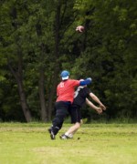 OTFL Gallery Image